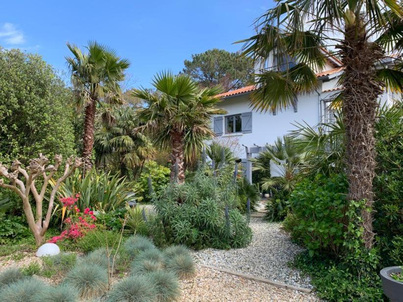 Maison Arbolateia Avec Piscine Et Spa Bidart Exteriér fotografie